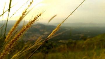 风景视频爆料大全最新版,风景视频爆料大全最新版全景呈现  第1张