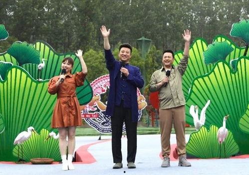 柴大姐最新爆料新闻视频,揭秘惊天新闻背后的真相  第2张